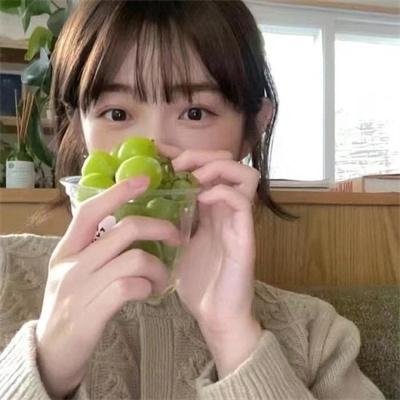 动画剧集
